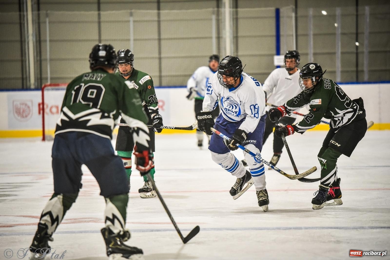 Zdjęcie w galerii na portalu naszraciborz.pl: Dragons Pszów pokonali Orły OSiR-u Racibórz. Hokej wrócił na Piastor [FOTO] wiadomości z regionu
