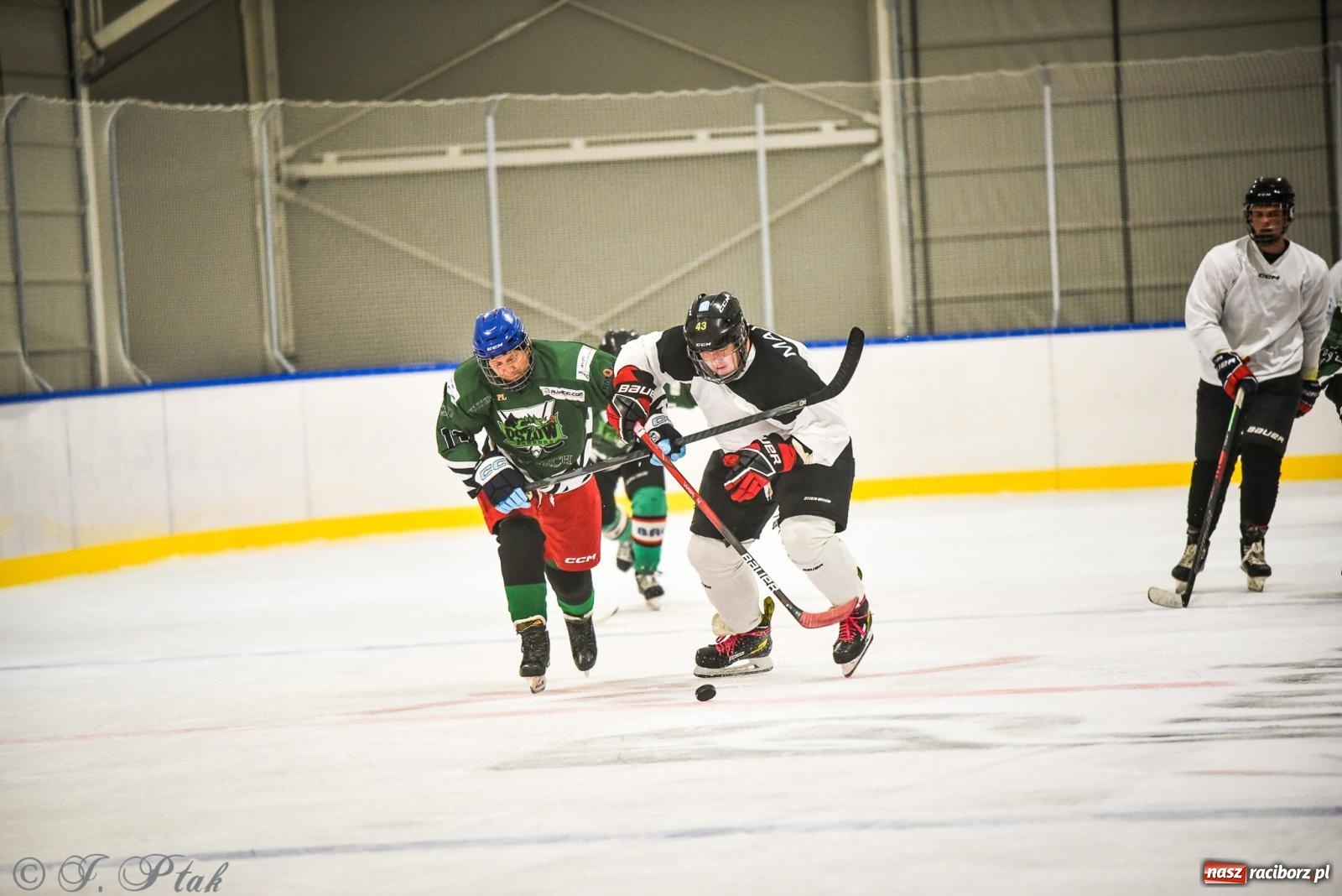 Zdjęcie w galerii na portalu naszraciborz.pl: Dragons Pszów pokonali Orły OSiR-u Racibórz. Hokej wrócił na Piastor [FOTO] wiadomości z regionu
