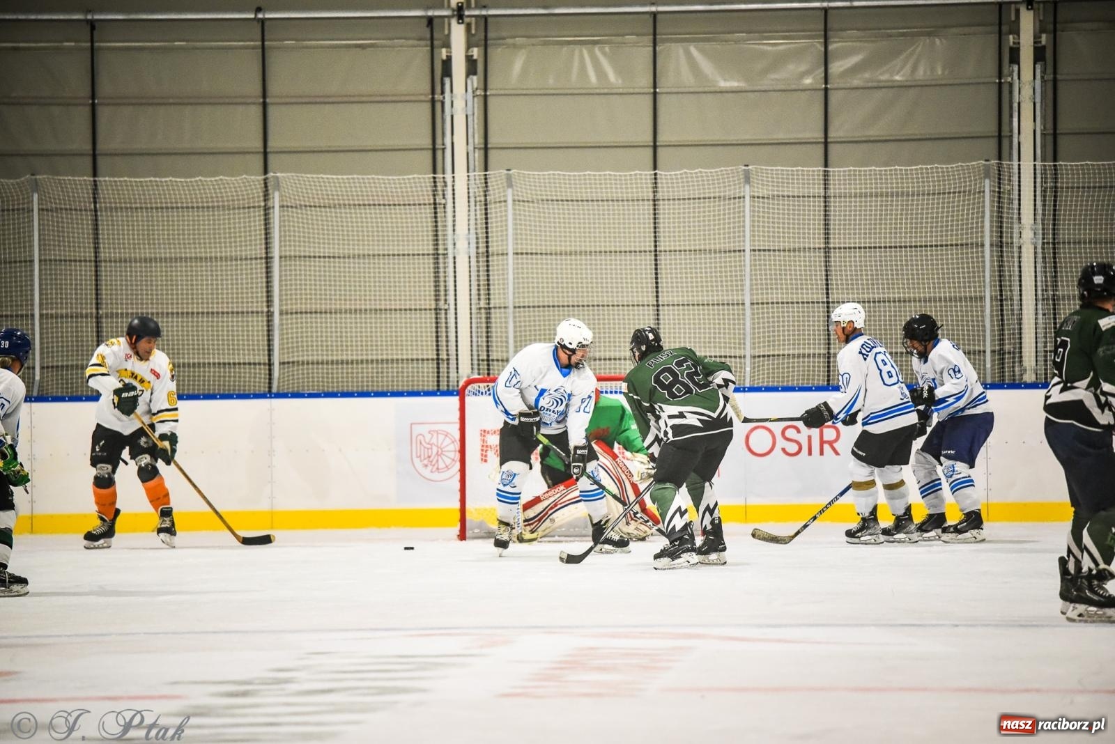 Zdjęcie w galerii na portalu naszraciborz.pl: Dragons Pszów pokonali Orły OSiR-u Racibórz. Hokej wrócił na Piastor [FOTO] wiadomości z regionu