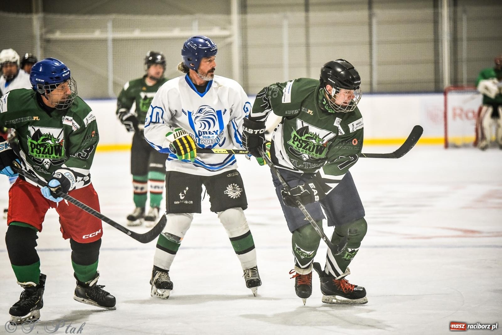 Zdjęcie w galerii na portalu naszraciborz.pl: Dragons Pszów pokonali Orły OSiR-u Racibórz. Hokej wrócił na Piastor [FOTO] wiadomości z regionu