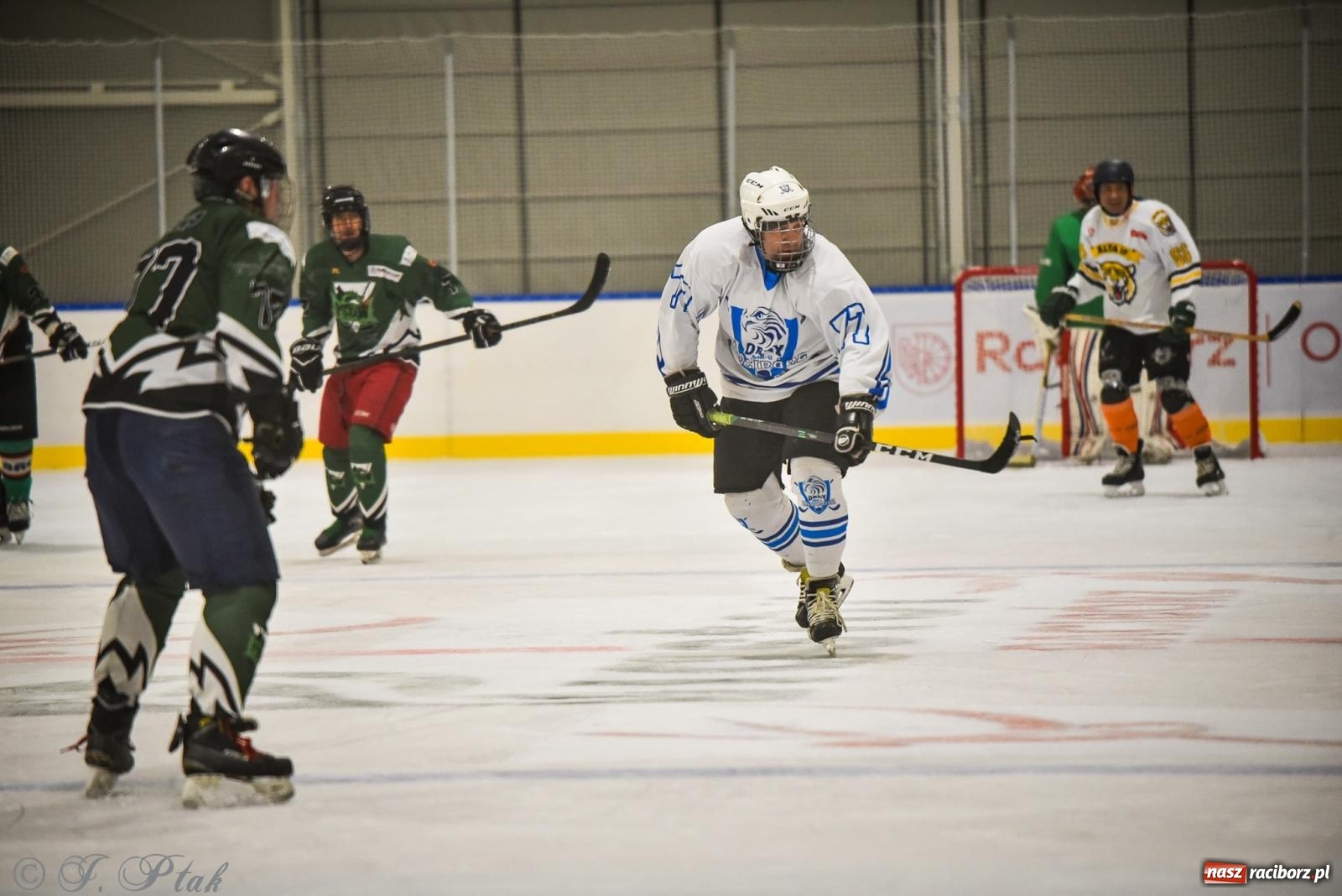 Zdjęcie w galerii na portalu naszraciborz.pl: Dragons Pszów pokonali Orły OSiR-u Racibórz. Hokej wrócił na Piastor [FOTO] wiadomości z regionu