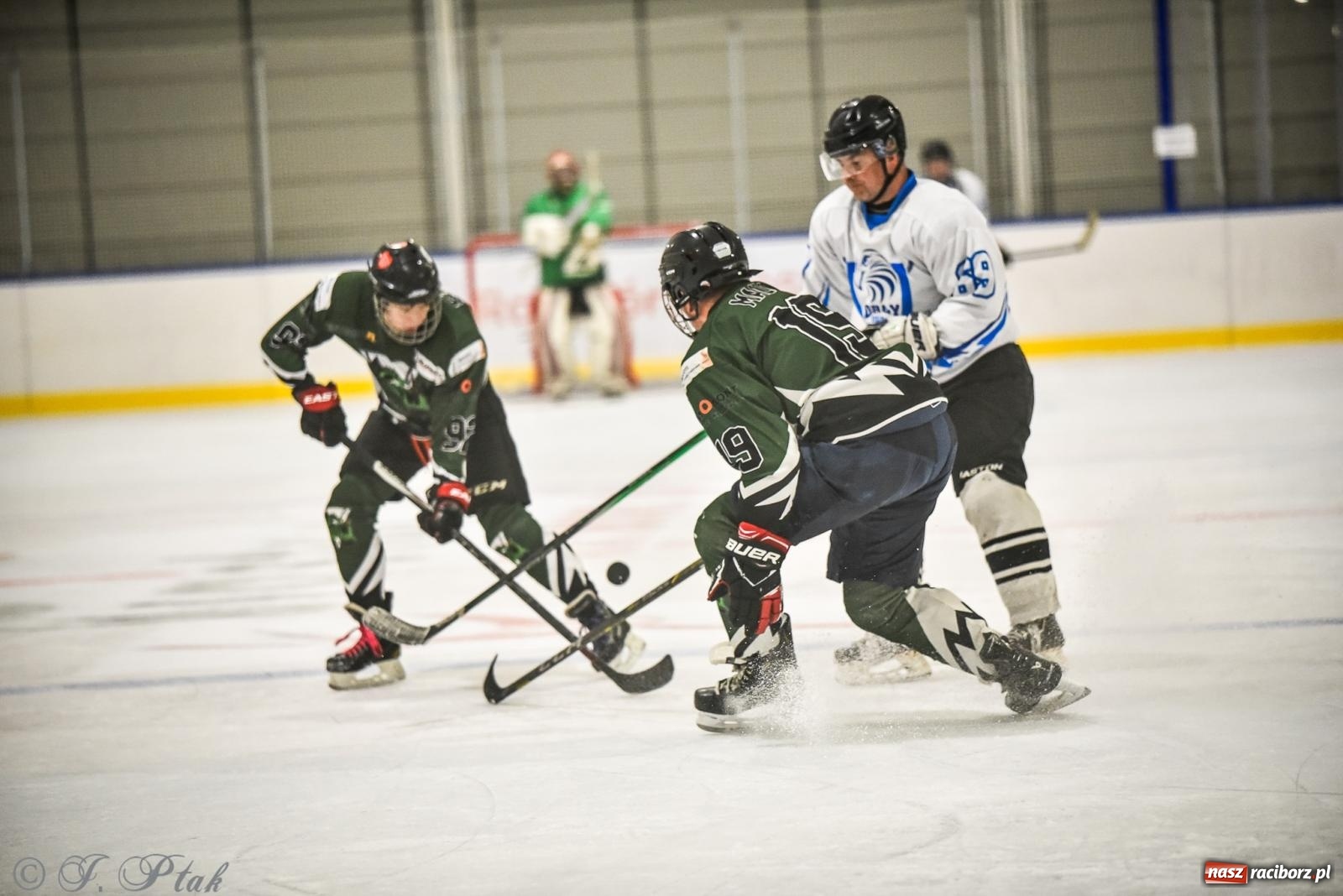Zdjęcie w galerii na portalu naszraciborz.pl: Dragons Pszów pokonali Orły OSiR-u Racibórz. Hokej wrócił na Piastor [FOTO] wiadomości z regionu