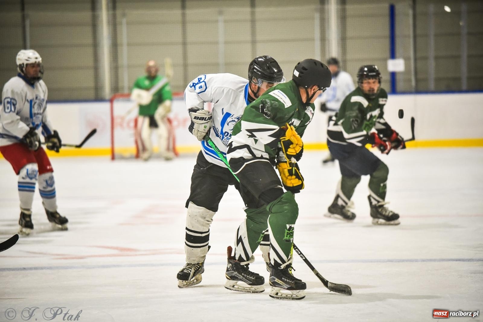 Zdjęcie w galerii na portalu naszraciborz.pl: Dragons Pszów pokonali Orły OSiR-u Racibórz. Hokej wrócił na Piastor [FOTO] wiadomości z regionu