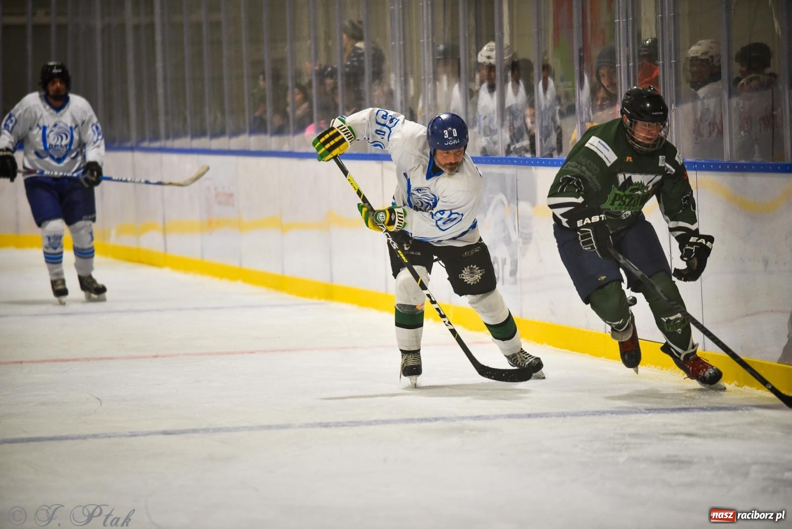 Zdjęcie w galerii na portalu naszraciborz.pl: Dragons Pszów pokonali Orły OSiR-u Racibórz. Hokej wrócił na Piastor [FOTO] wiadomości z regionu
