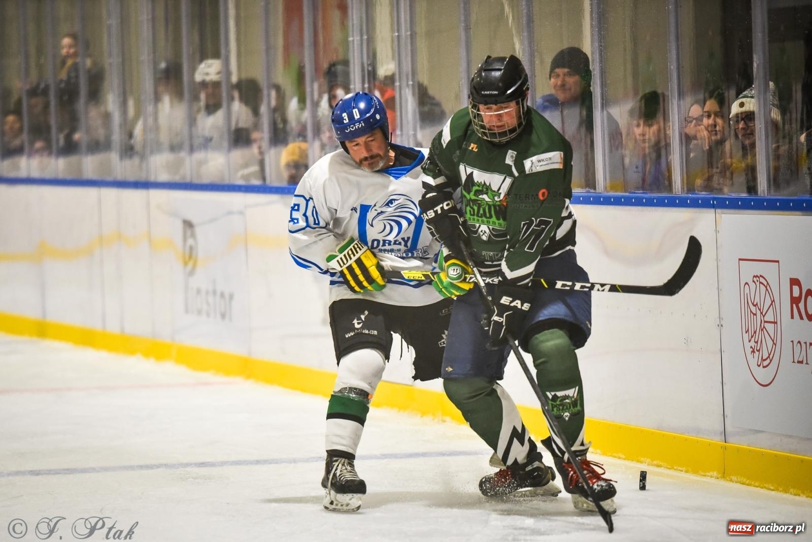 Zdjęcie w galerii na portalu naszraciborz.pl: Dragons Pszów pokonali Orły OSiR-u Racibórz. Hokej wrócił na Piastor [FOTO] wiadomości z regionu