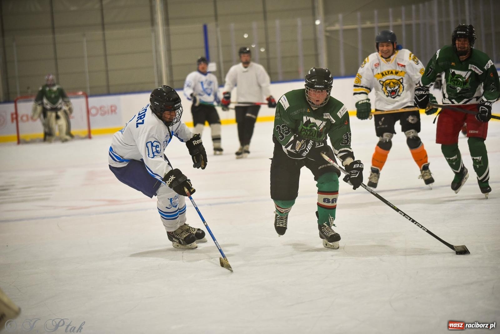 Zdjęcie w galerii na portalu naszraciborz.pl: Dragons Pszów pokonali Orły OSiR-u Racibórz. Hokej wrócił na Piastor [FOTO] wiadomości z regionu