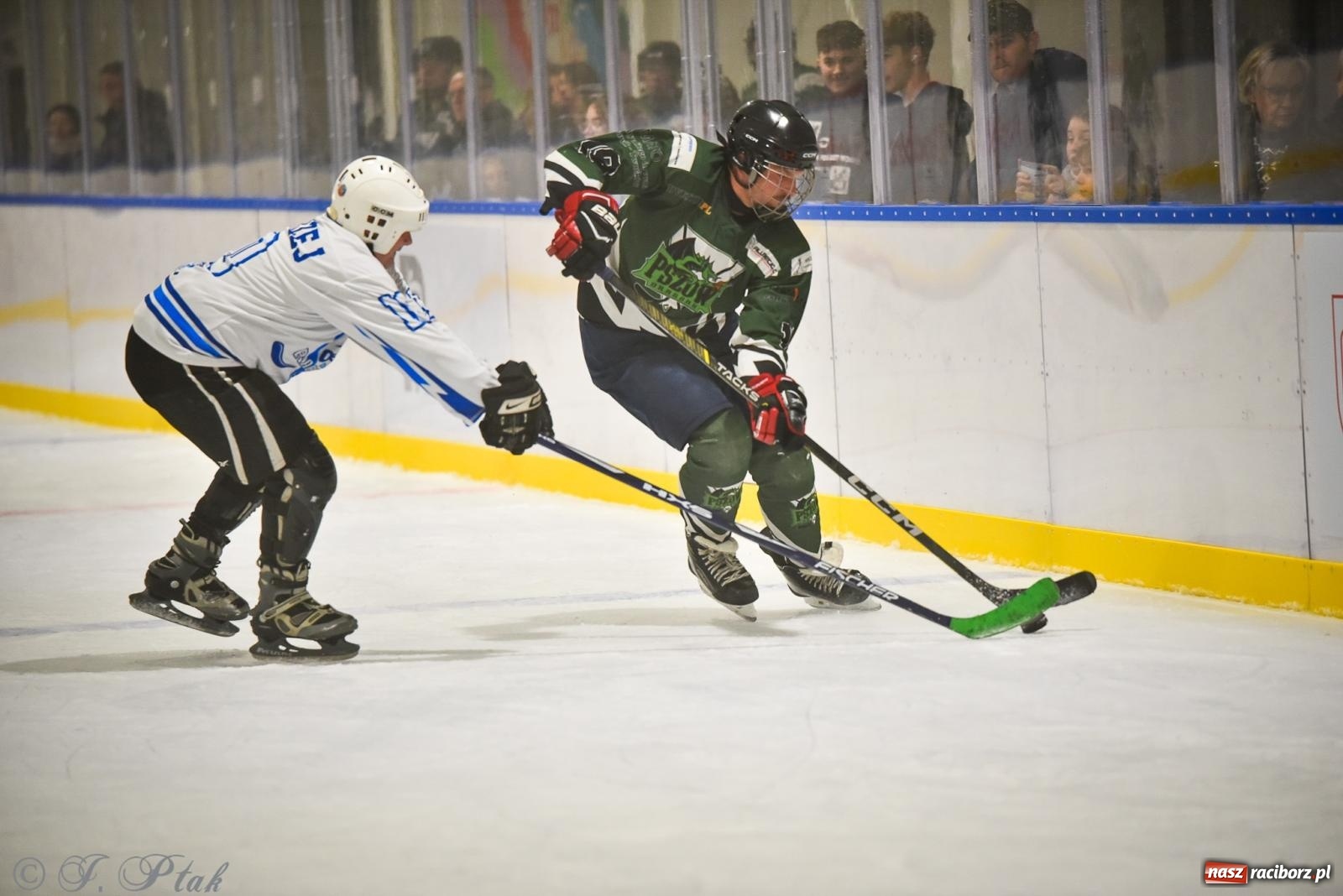 Zdjęcie w galerii na portalu naszraciborz.pl: Dragons Pszów pokonali Orły OSiR-u Racibórz. Hokej wrócił na Piastor [FOTO] wiadomości z regionu