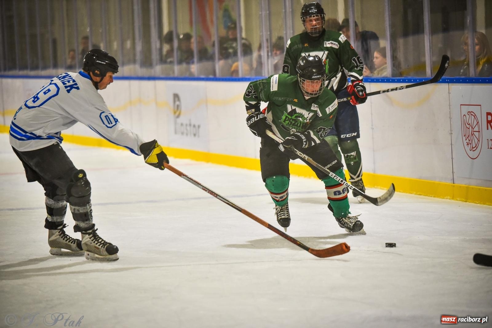 Zdjęcie w galerii na portalu naszraciborz.pl: Dragons Pszów pokonali Orły OSiR-u Racibórz. Hokej wrócił na Piastor [FOTO] wiadomości z regionu