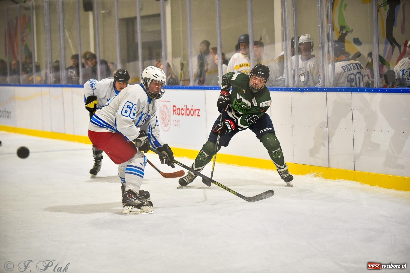 Zdjęcie w galerii na portalu naszraciborz.pl: Dragons Pszów pokonali Orły OSiR-u Racibórz. Hokej wrócił na Piastor [FOTO] wiadomości z regionu