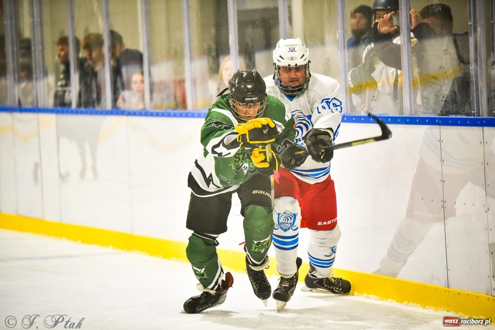 Zdjęcie w galerii na portalu naszraciborz.pl: Dragons Pszów pokonali Orły OSiR-u Racibórz. Hokej wrócił na Piastor [FOTO] wiadomości z regionu