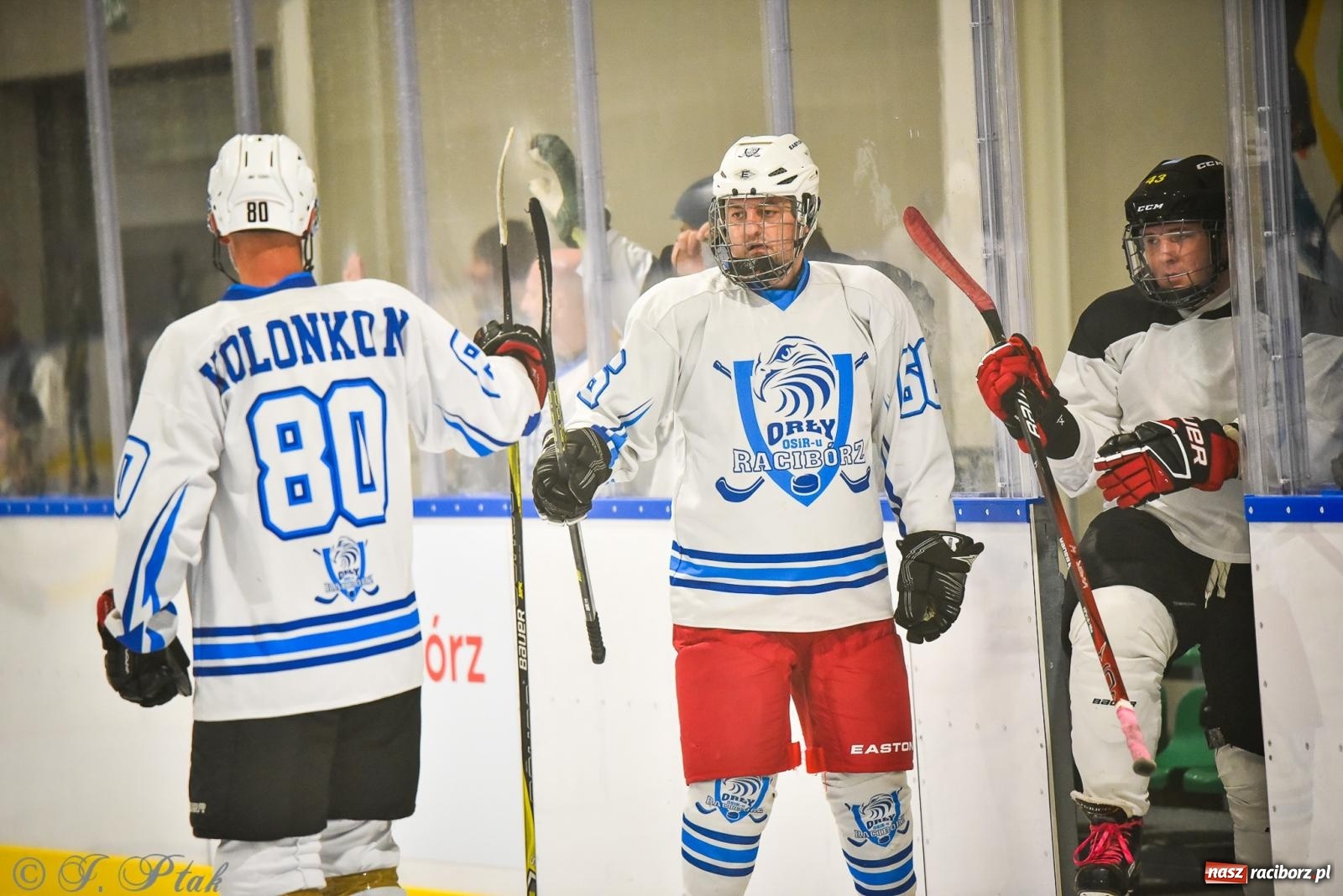 Zdjęcie w galerii na portalu naszraciborz.pl: Dragons Pszów pokonali Orły OSiR-u Racibórz. Hokej wrócił na Piastor [FOTO] wiadomości z regionu