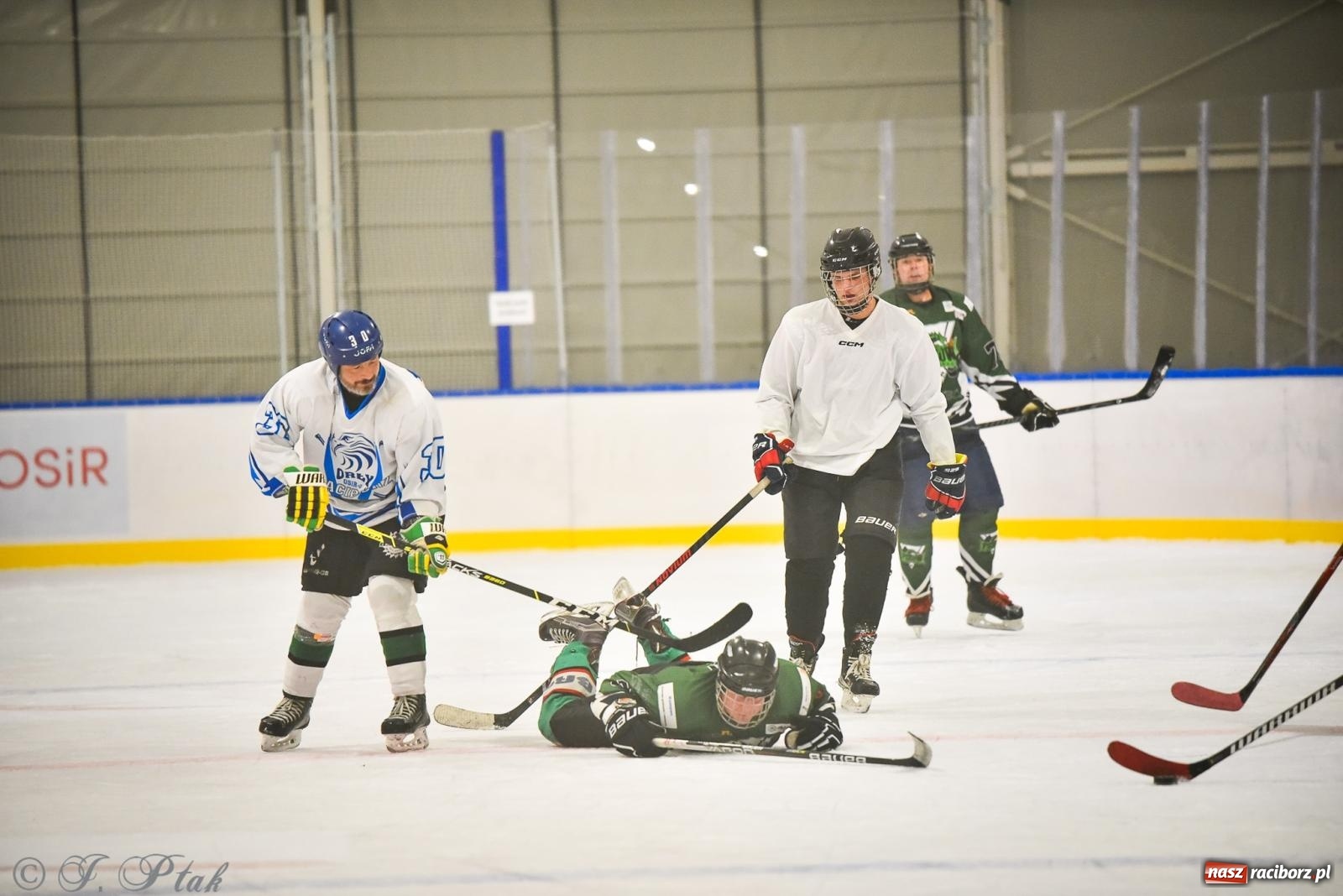 Zdjęcie w galerii na portalu naszraciborz.pl: Dragons Pszów pokonali Orły OSiR-u Racibórz. Hokej wrócił na Piastor [FOTO] wiadomości z regionu