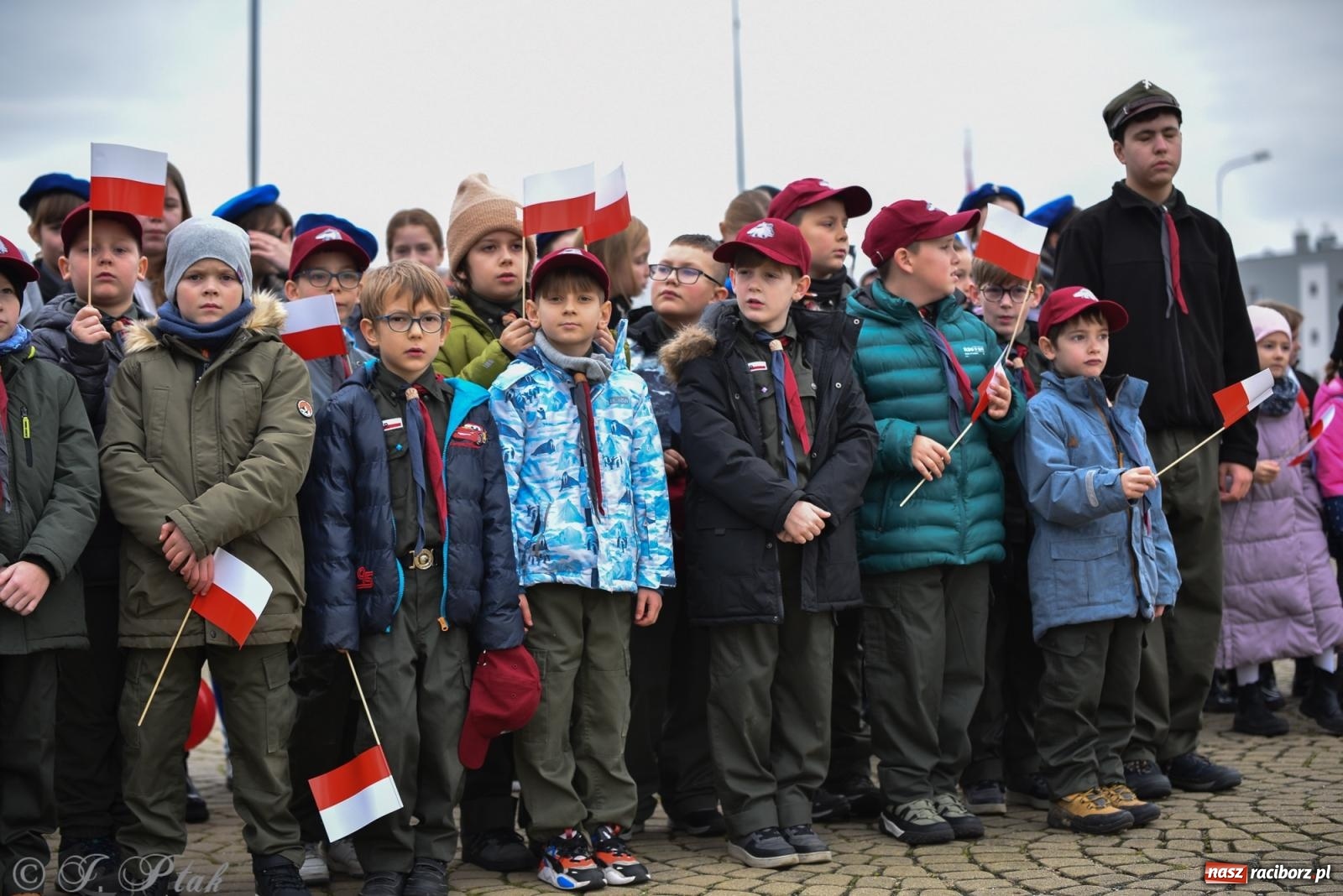 Zdjęcie w galerii na portalu naszraciborz.pl: Narodowe Święto Niepodległości w Raciborzu [FOTO i WIDEO] wiadomości z regionu