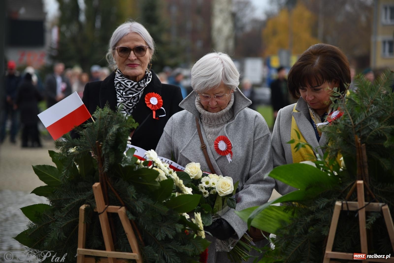 Zdjęcie w galerii na portalu naszraciborz.pl: Narodowe Święto Niepodległości w Raciborzu [FOTO i WIDEO] wiadomości z regionu