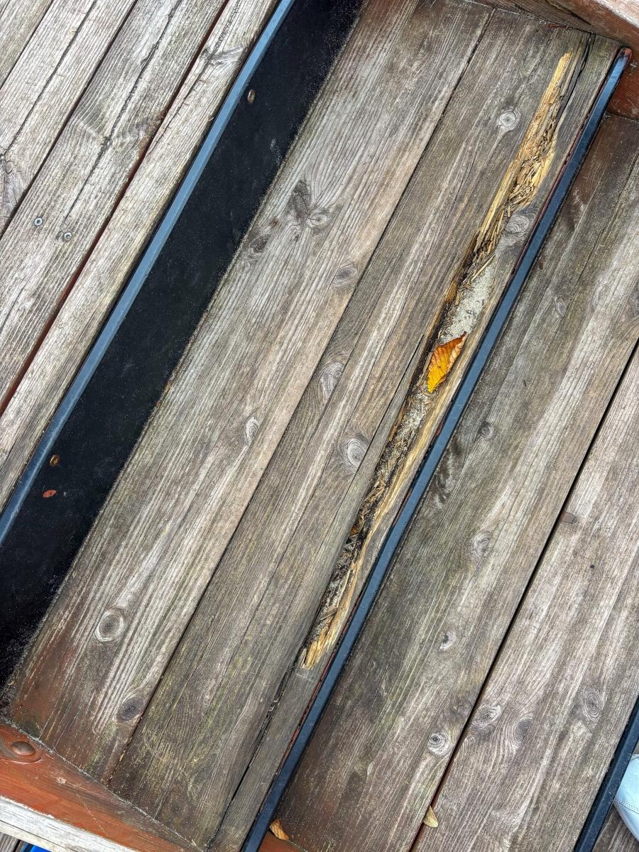 Zdjęcie w galerii na portalu naszraciborz.pl: List do redakcji: Zaniedbany plac zabaw przy parku Jordanowskim wiadomości z regionu