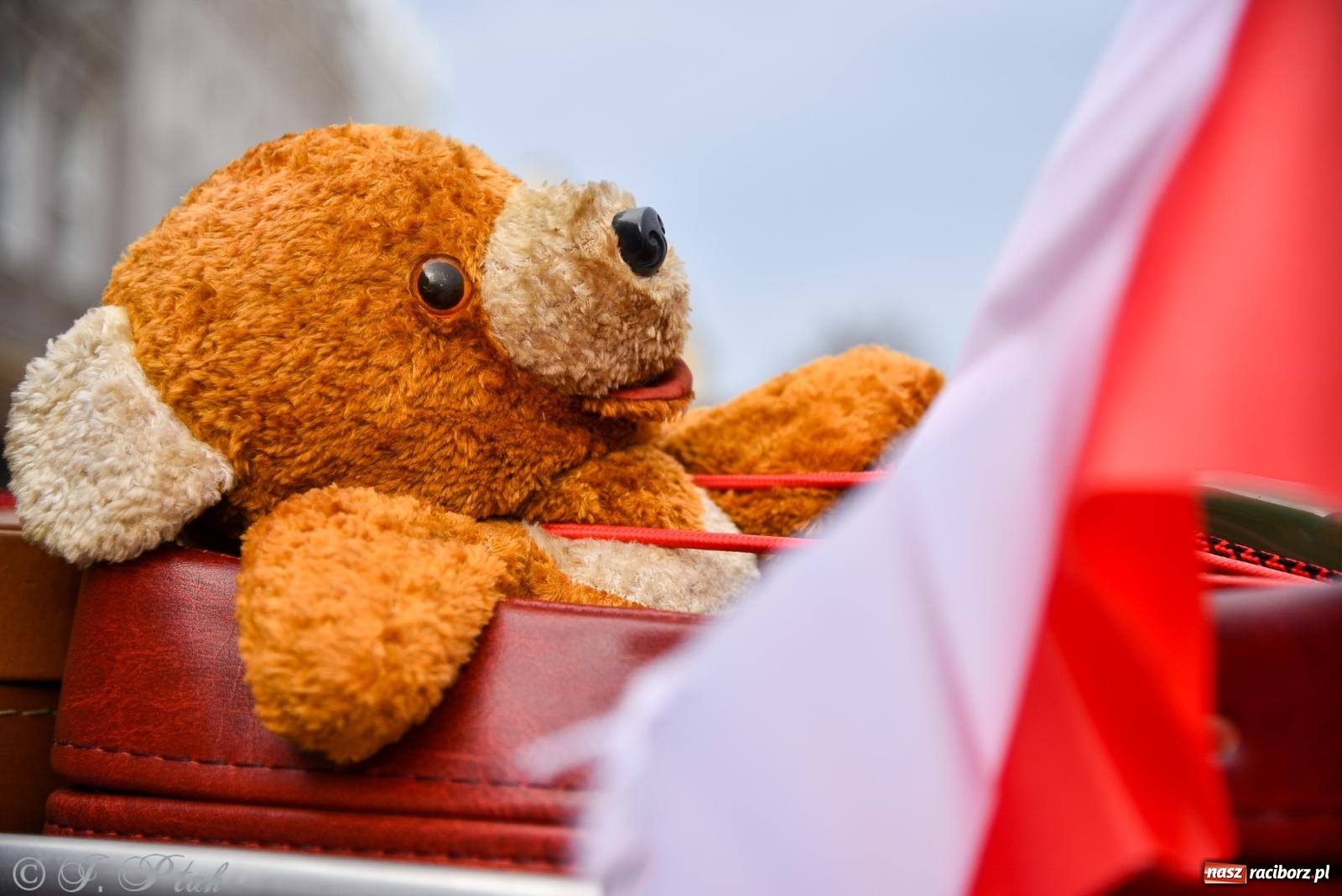 Zdjęcie w galerii na portalu naszraciborz.pl: Gwiazdy motoryzacji minionych dekad na raciborskim rynku [FOTO i WIDEO] wiadomości z regionu