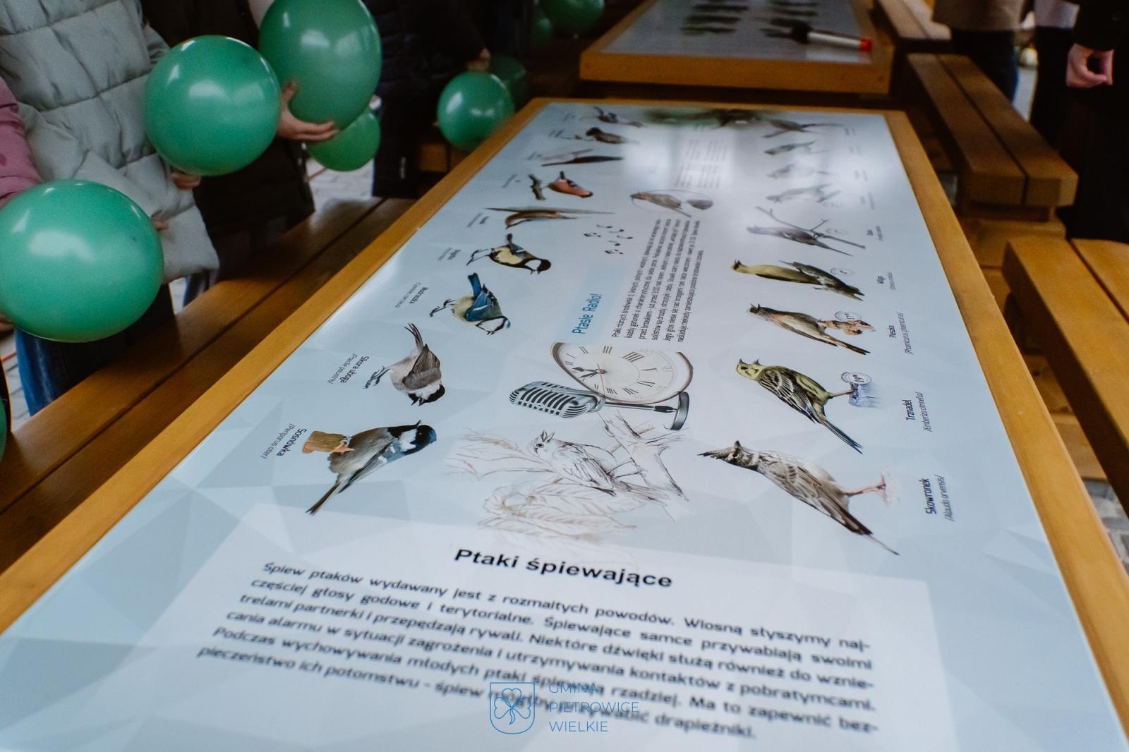 Zdjęcie w galerii na portalu naszraciborz.pl: Nowa ekopracownia pod chmurką w powiecie – Pietrowice Wielkie otwierają nowoczesną przestrzeń edukacyjną wiadomości z regionu