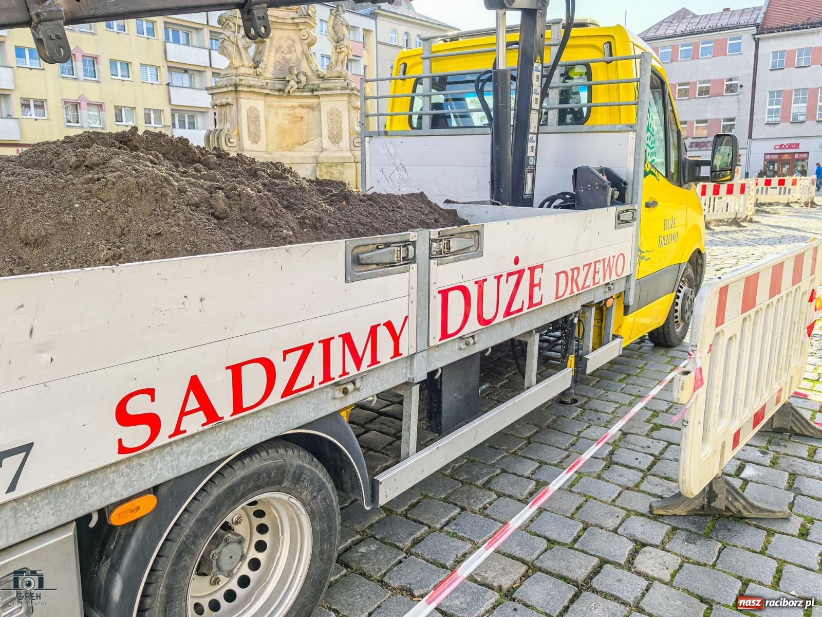 Zdjęcie w galerii na portalu naszraciborz.pl: Ile kosztowały drzewa na Rynku? Prezydent pokazuje rachunek wiadomości z regionu