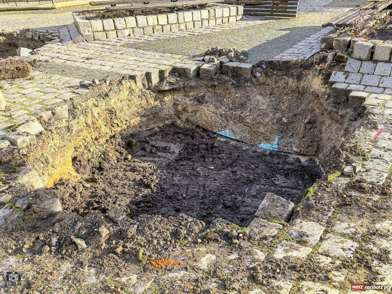 Zdjęcie w galerii na portalu naszraciborz.pl: Ile kosztowały drzewa na Rynku? Prezydent pokazuje rachunek wiadomości z regionu