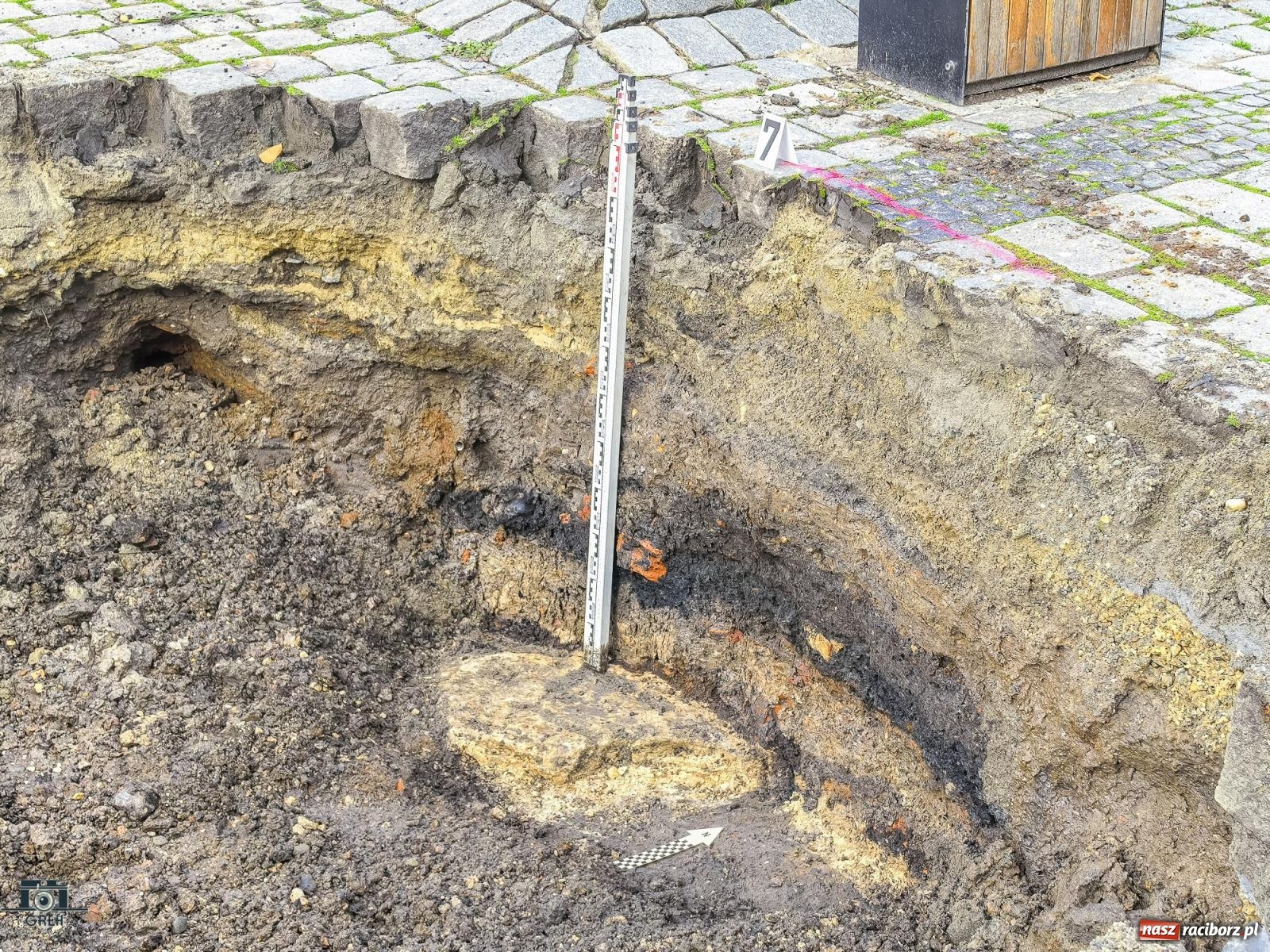 Zdjęcie w galerii na portalu naszraciborz.pl: Ile kosztowały drzewa na Rynku? Prezydent pokazuje rachunek wiadomości z regionu