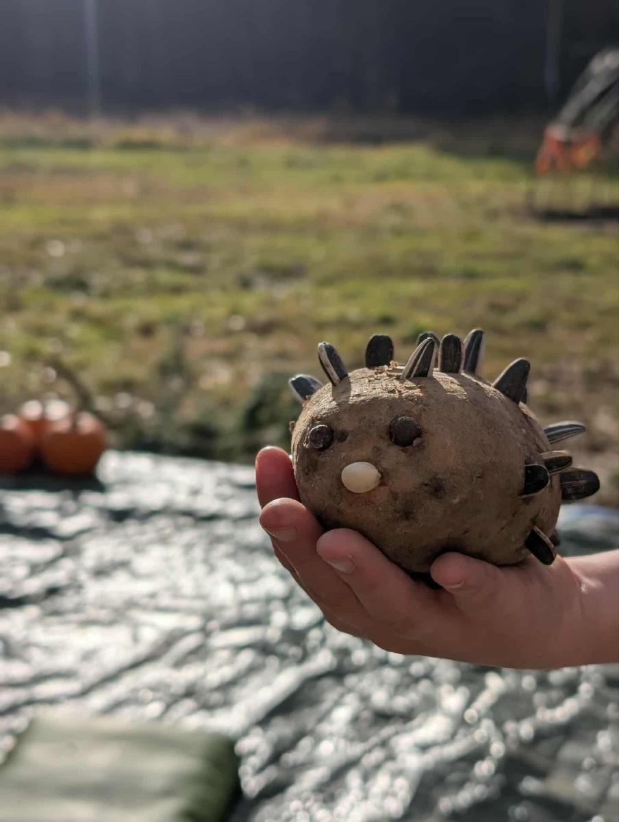 Zdjęcie w galerii na portalu naszraciborz.pl: Finał projektu Zielona Baza w Górkach Śląskich przyciągnął dzieci i mieszkańców sołectwa wiadomości z regionu