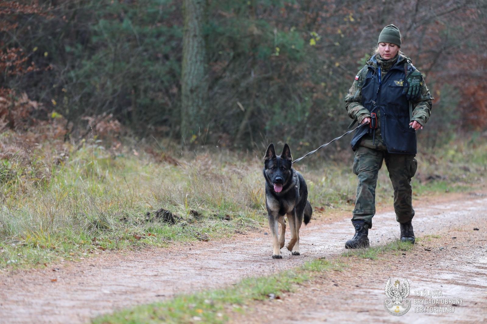 Zdjęcie w galerii na portalu naszraciborz.pl: Trudne egzaminy dla psów służbowych w Kuźni Raciborskiej wiadomości z regionu