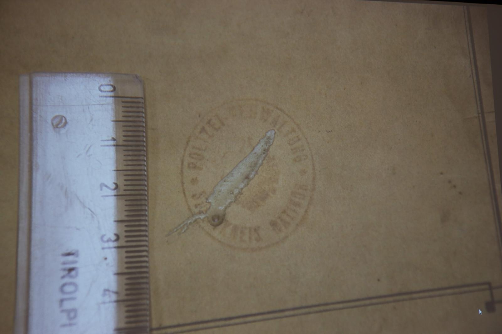 Zdjęcie w galerii na portalu naszraciborz.pl: Spotkanie z zabytkami: papierowe skarby pod opieką konserwatora wiadomości z regionu