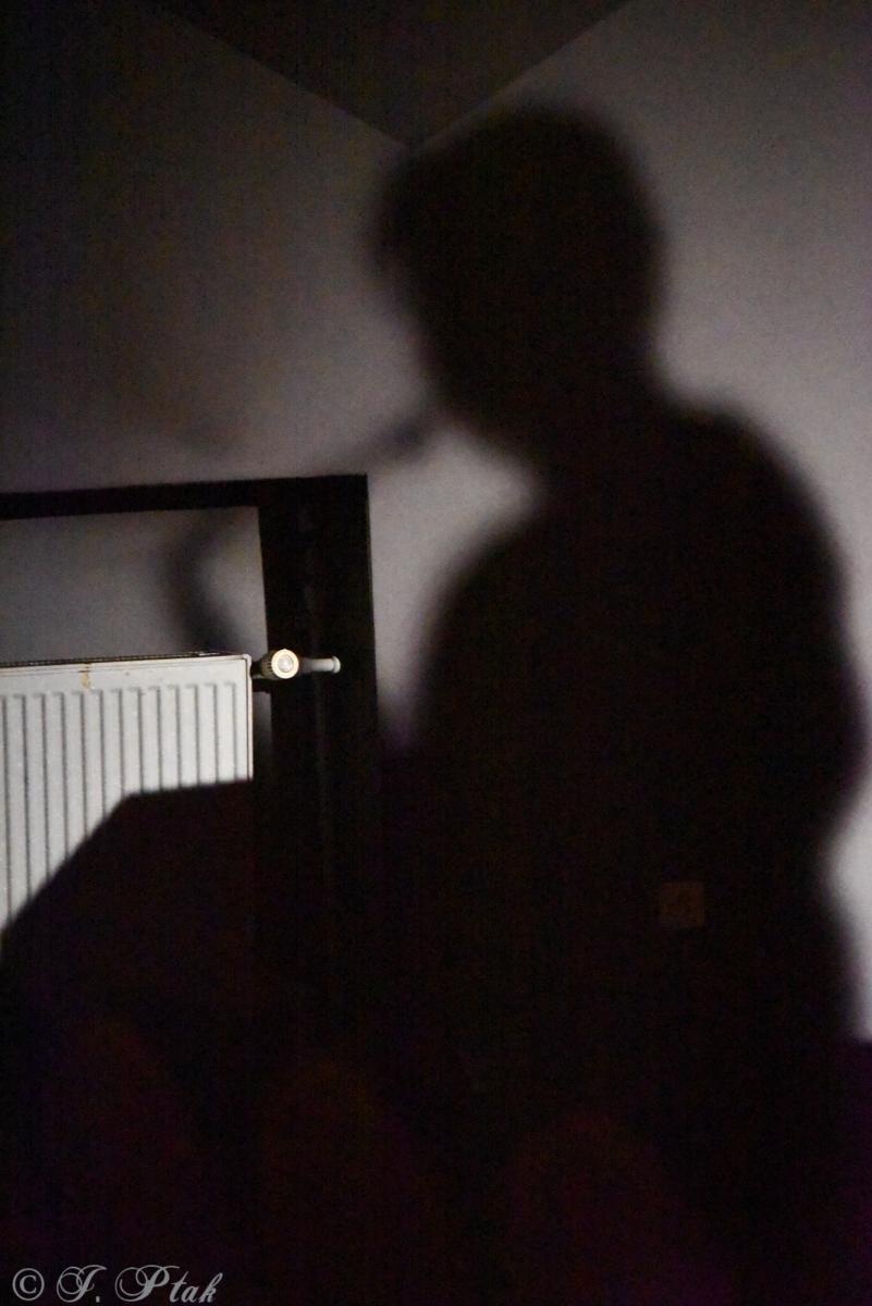 Zdjęcie w galerii na portalu naszraciborz.pl: Gorczyca i Przyjaciele: Patsy Gamble w  Raciborzu wiadomości z regionu