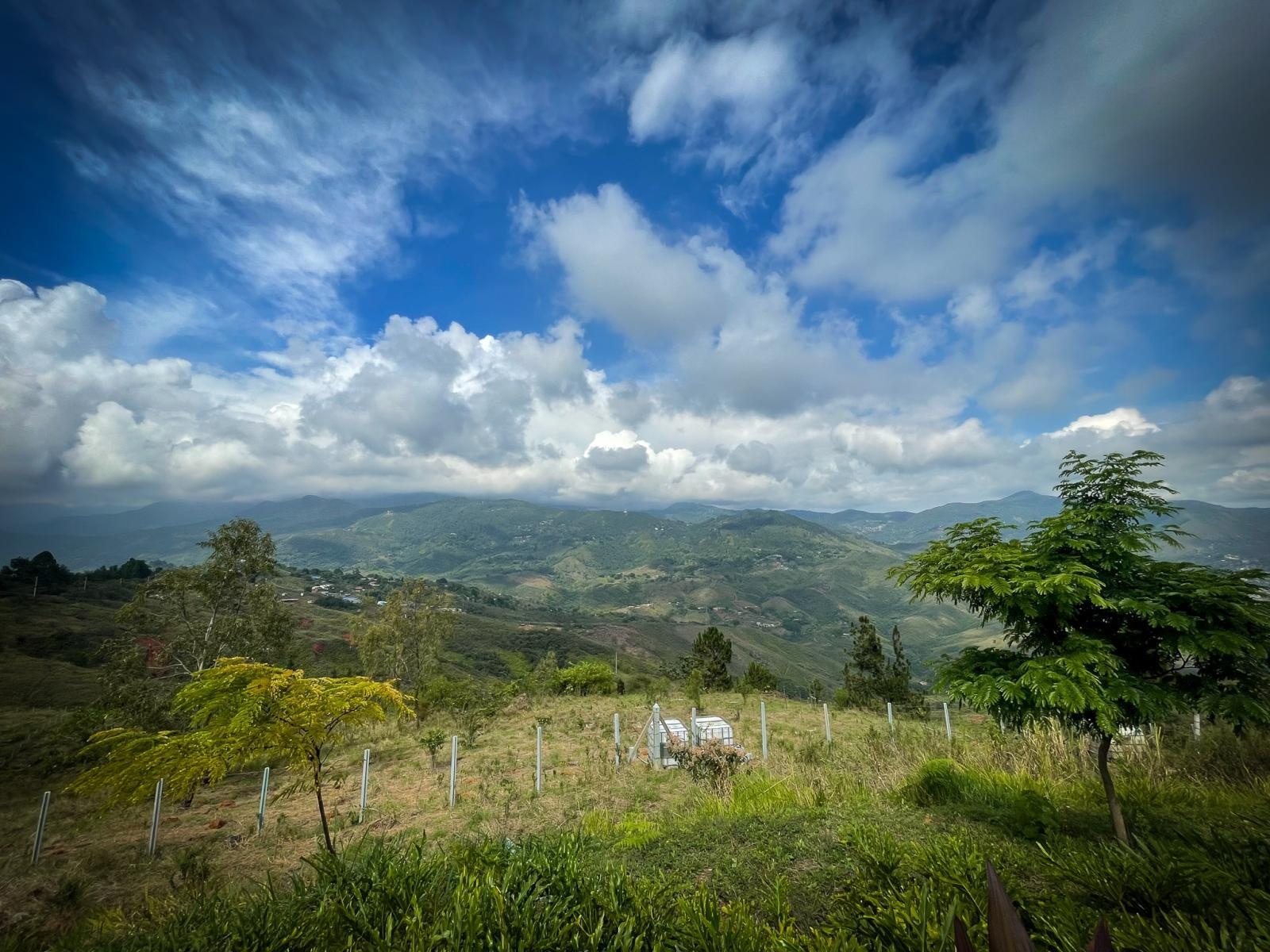 Zdjęcie w galerii na portalu naszraciborz.pl: Raciborzanie w Cali – światowej stolicy salsy [FOTO i WIDEO] wiadomości z regionu