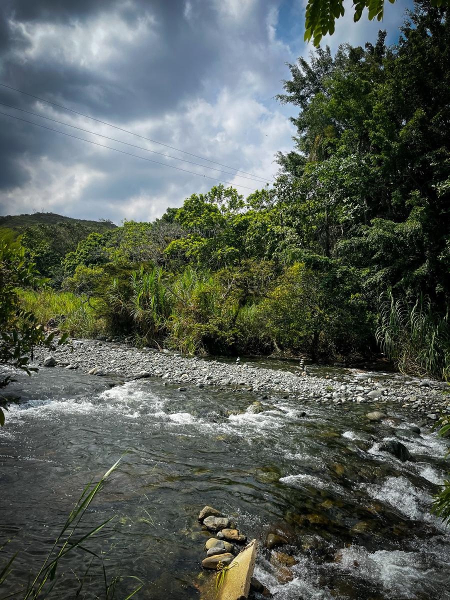 Zdjęcie w galerii na portalu naszraciborz.pl: Raciborzanie w Cali – światowej stolicy salsy [FOTO i WIDEO] wiadomości z regionu