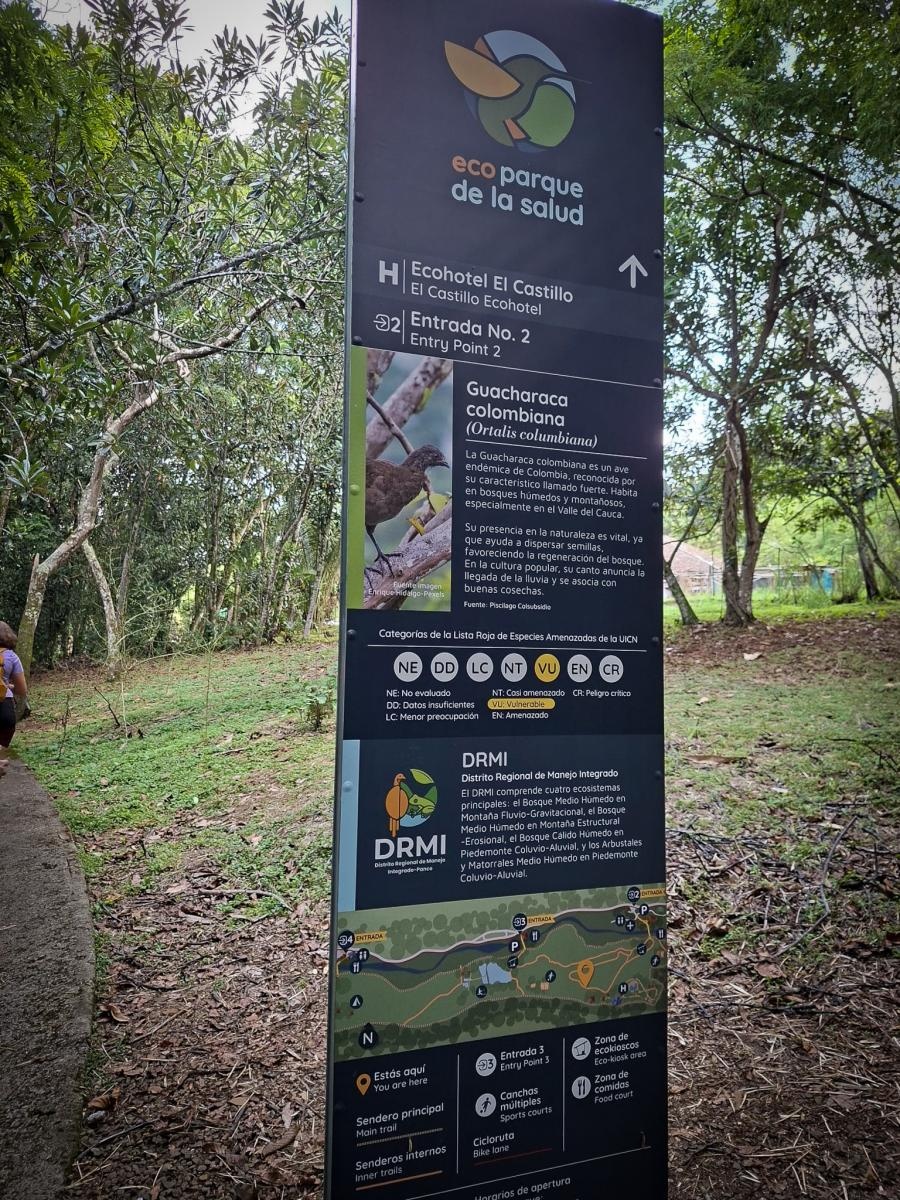 Zdjęcie w galerii na portalu naszraciborz.pl: Raciborzanie w Cali – światowej stolicy salsy [FOTO i WIDEO] wiadomości z regionu