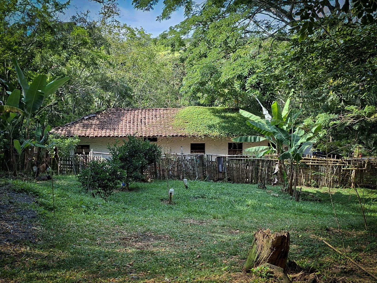 Zdjęcie w galerii na portalu naszraciborz.pl: Raciborzanie w Cali – światowej stolicy salsy [FOTO i WIDEO] wiadomości z regionu