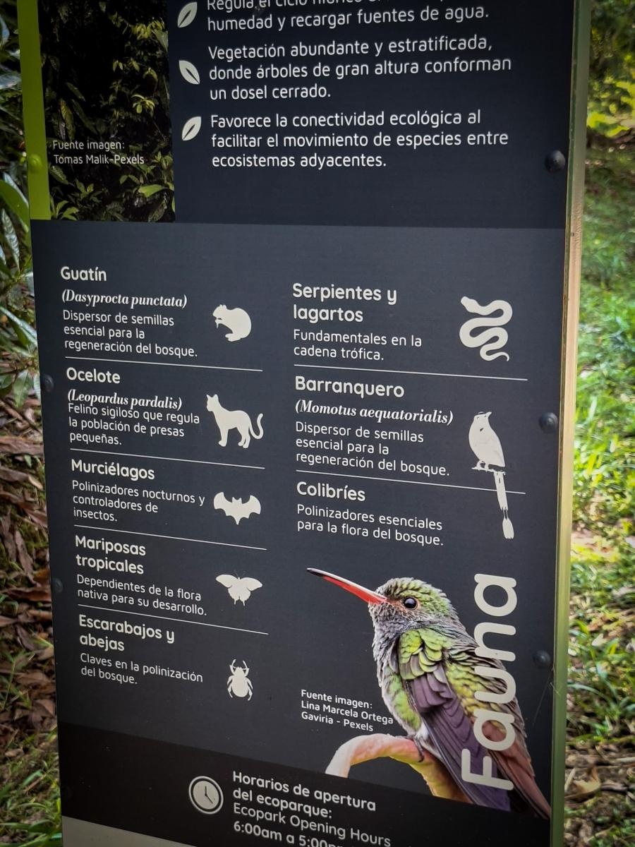 Zdjęcie w galerii na portalu naszraciborz.pl: Raciborzanie w Cali – światowej stolicy salsy [FOTO i WIDEO] wiadomości z regionu