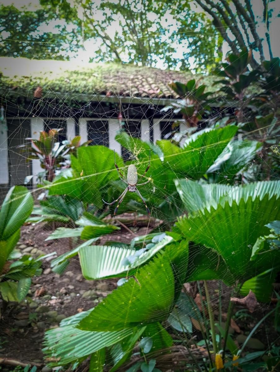 Zdjęcie w galerii na portalu naszraciborz.pl: Raciborzanie w Cali – światowej stolicy salsy [FOTO i WIDEO] wiadomości z regionu