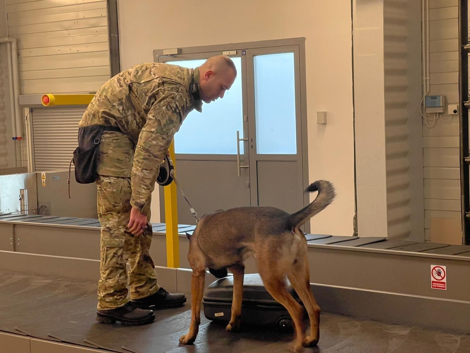 Zdjęcie w galerii na portalu naszraciborz.pl: Czworonożni strażnicy graniczni, żołnierze i policjanci szkolili się w Chorzowie wiadomości z regionu