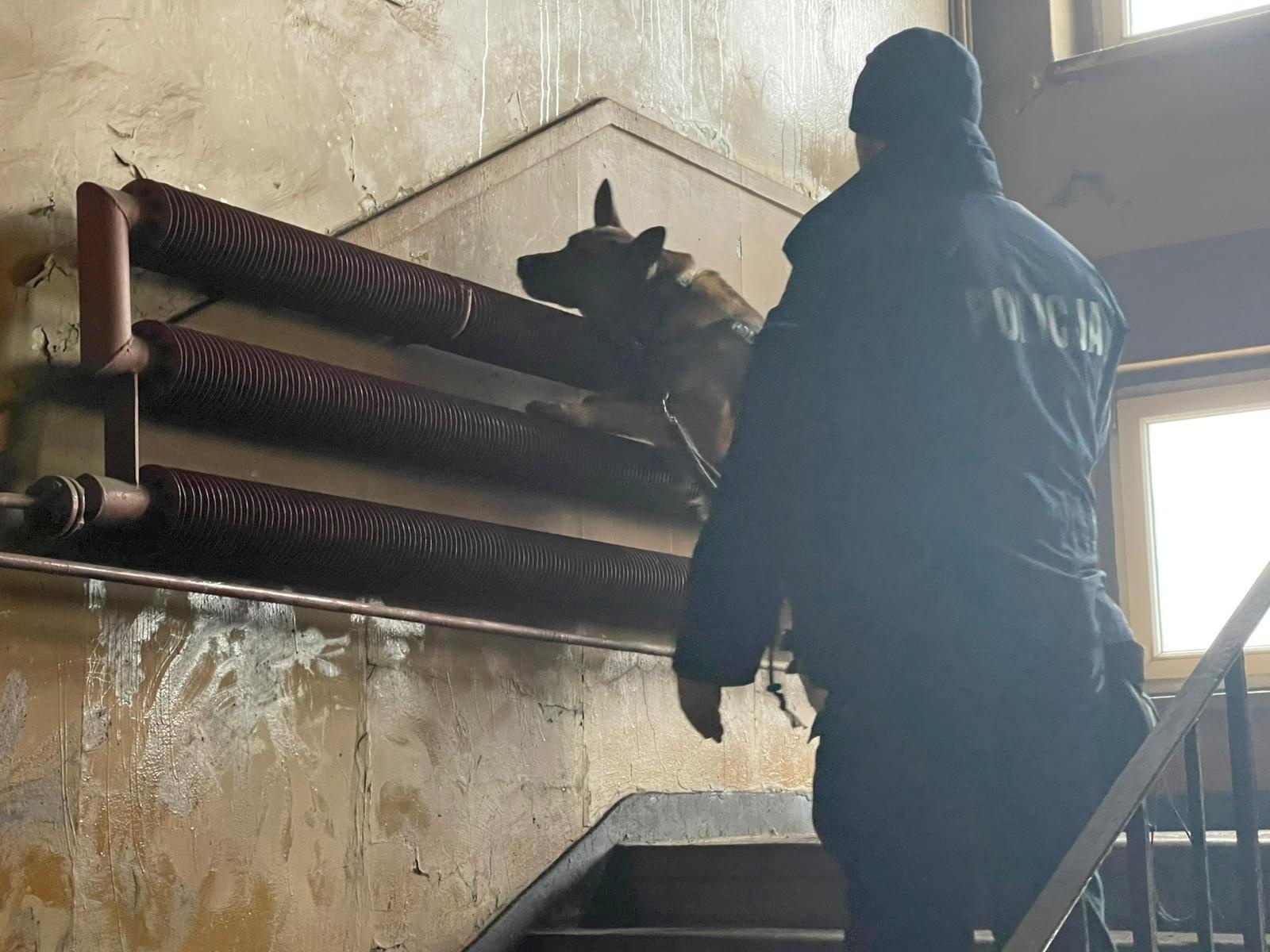 Zdjęcie w galerii na portalu naszraciborz.pl: Czworonożni strażnicy graniczni, żołnierze i policjanci szkolili się w Chorzowie wiadomości z regionu