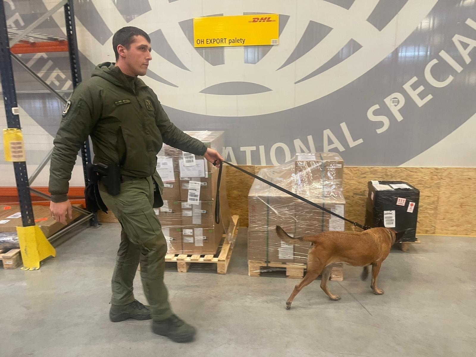 Zdjęcie w galerii na portalu naszraciborz.pl: Czworonożni strażnicy graniczni, żołnierze i policjanci szkolili się w Chorzowie wiadomości z regionu