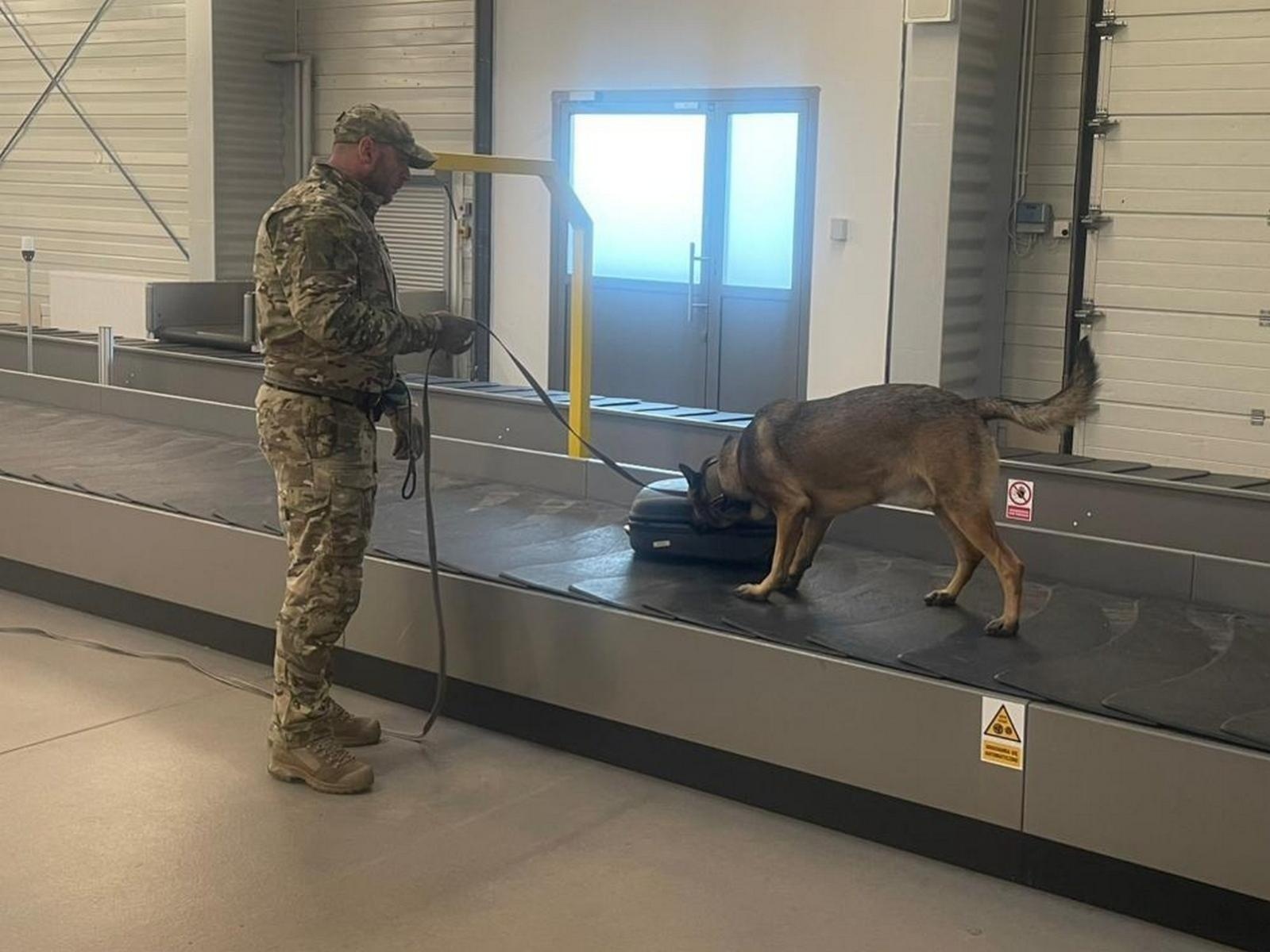 Zdjęcie w galerii na portalu naszraciborz.pl: Czworonożni strażnicy graniczni, żołnierze i policjanci szkolili się w Chorzowie wiadomości z regionu