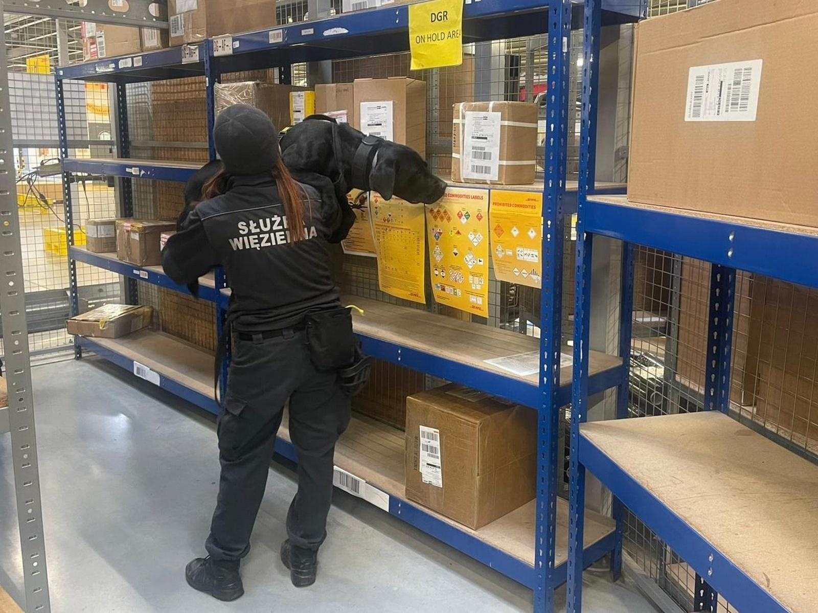 Zdjęcie w galerii na portalu naszraciborz.pl: Czworonożni strażnicy graniczni, żołnierze i policjanci szkolili się w Chorzowie wiadomości z regionu