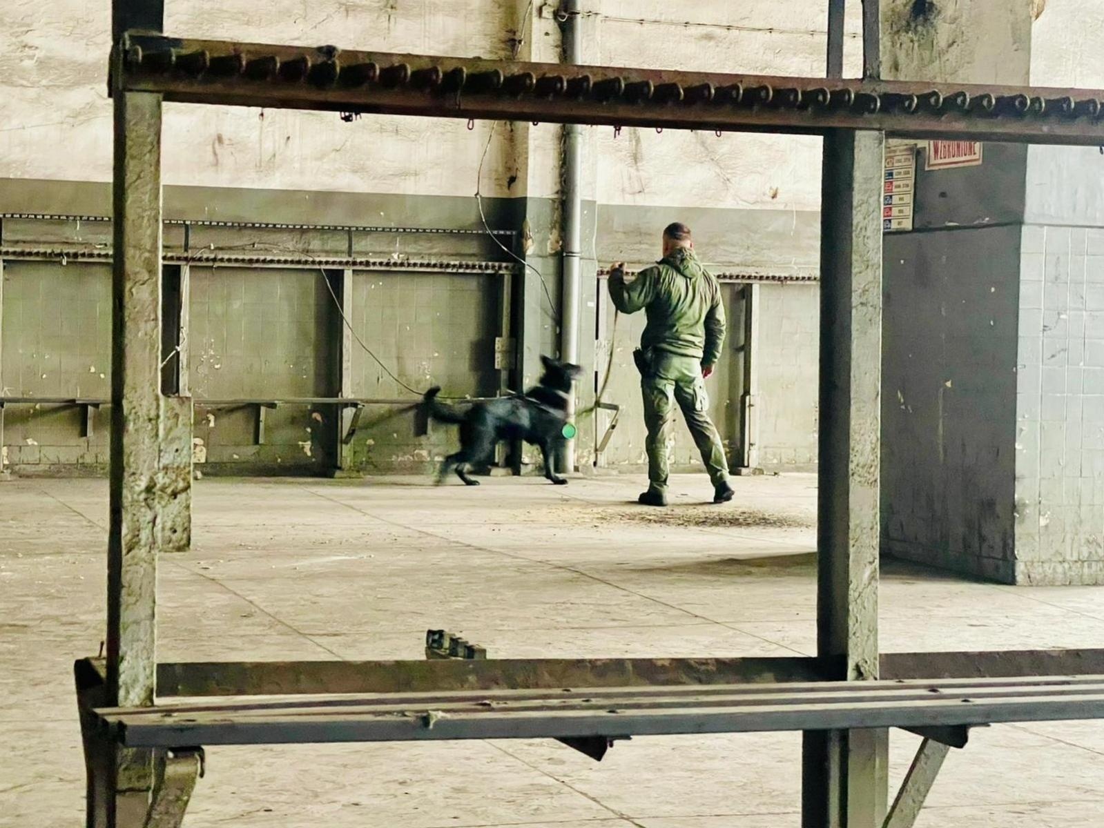 Zdjęcie w galerii na portalu naszraciborz.pl: Czworonożni strażnicy graniczni, żołnierze i policjanci szkolili się w Chorzowie wiadomości z regionu