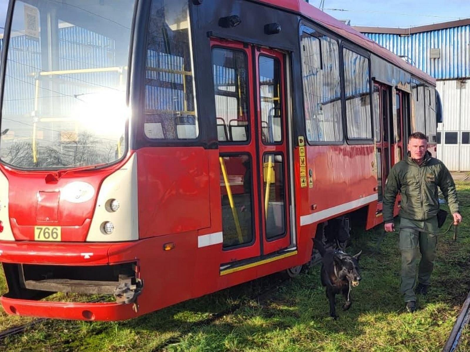 Zdjęcie w galerii na portalu naszraciborz.pl: Czworonożni strażnicy graniczni, żołnierze i policjanci szkolili się w Chorzowie wiadomości z regionu