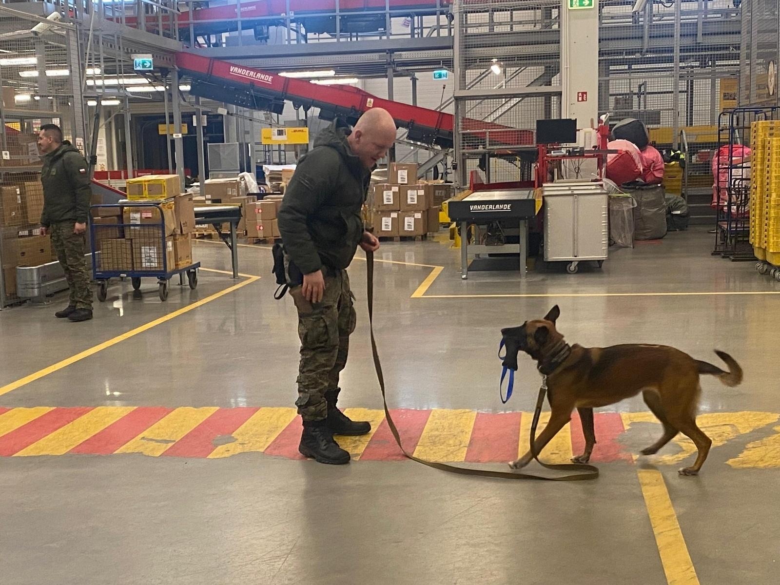 Zdjęcie w galerii na portalu naszraciborz.pl: Czworonożni strażnicy graniczni, żołnierze i policjanci szkolili się w Chorzowie wiadomości z regionu