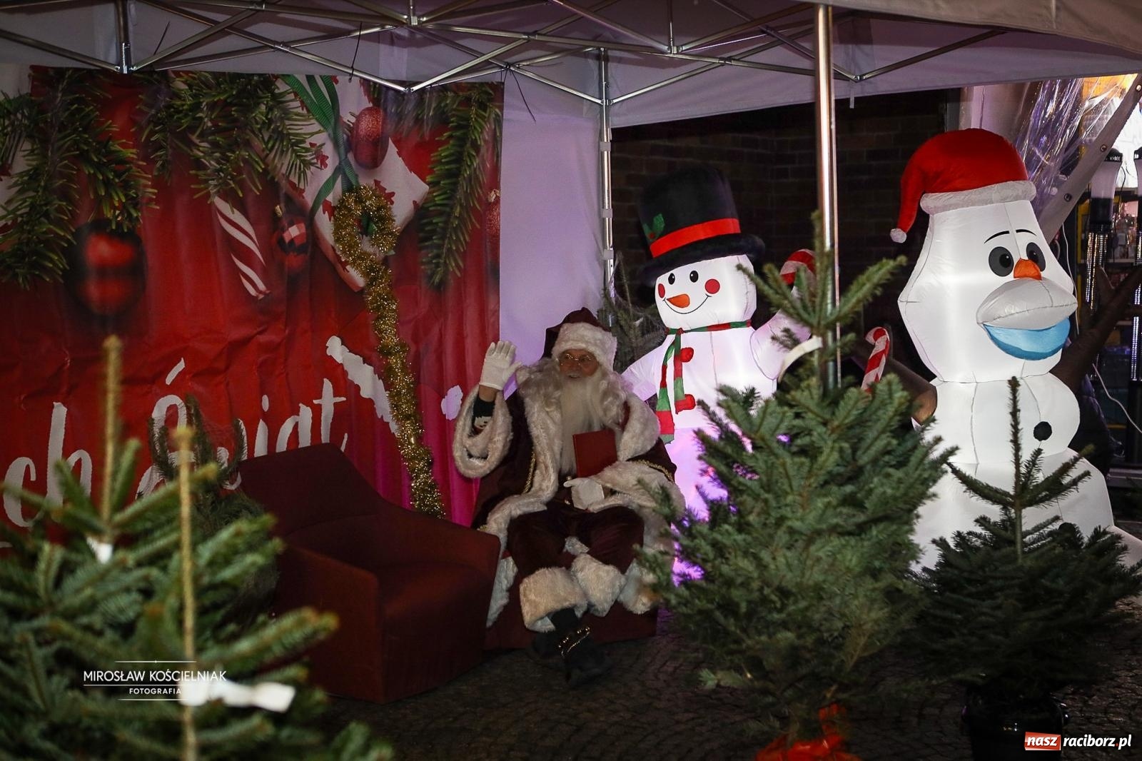 Zdjęcie w galerii na portalu naszraciborz.pl: Nowa odsłona Jarmarku Świątecznego w Raciborzu - choinka rozbłysła wśród platanów [FOTO i WIDEO] wiadomości z regionu