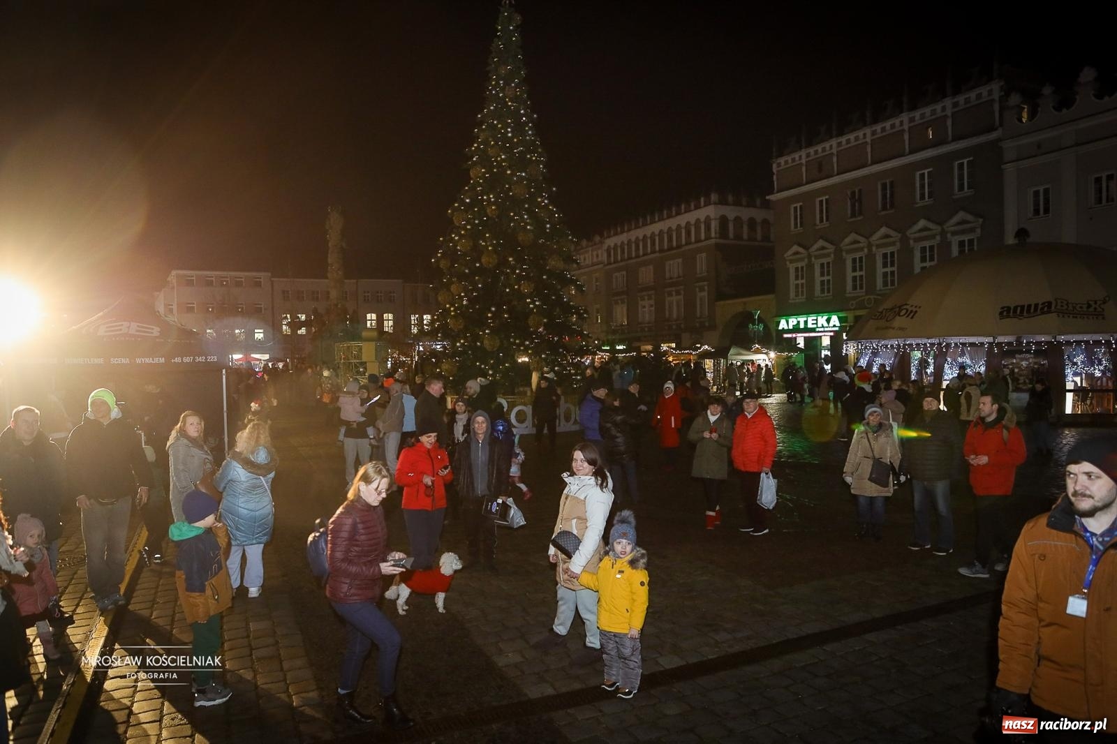 Zdjęcie w galerii na portalu naszraciborz.pl: Nowa odsłona Jarmarku Świątecznego w Raciborzu - choinka rozbłysła wśród platanów [FOTO i WIDEO] wiadomości z regionu