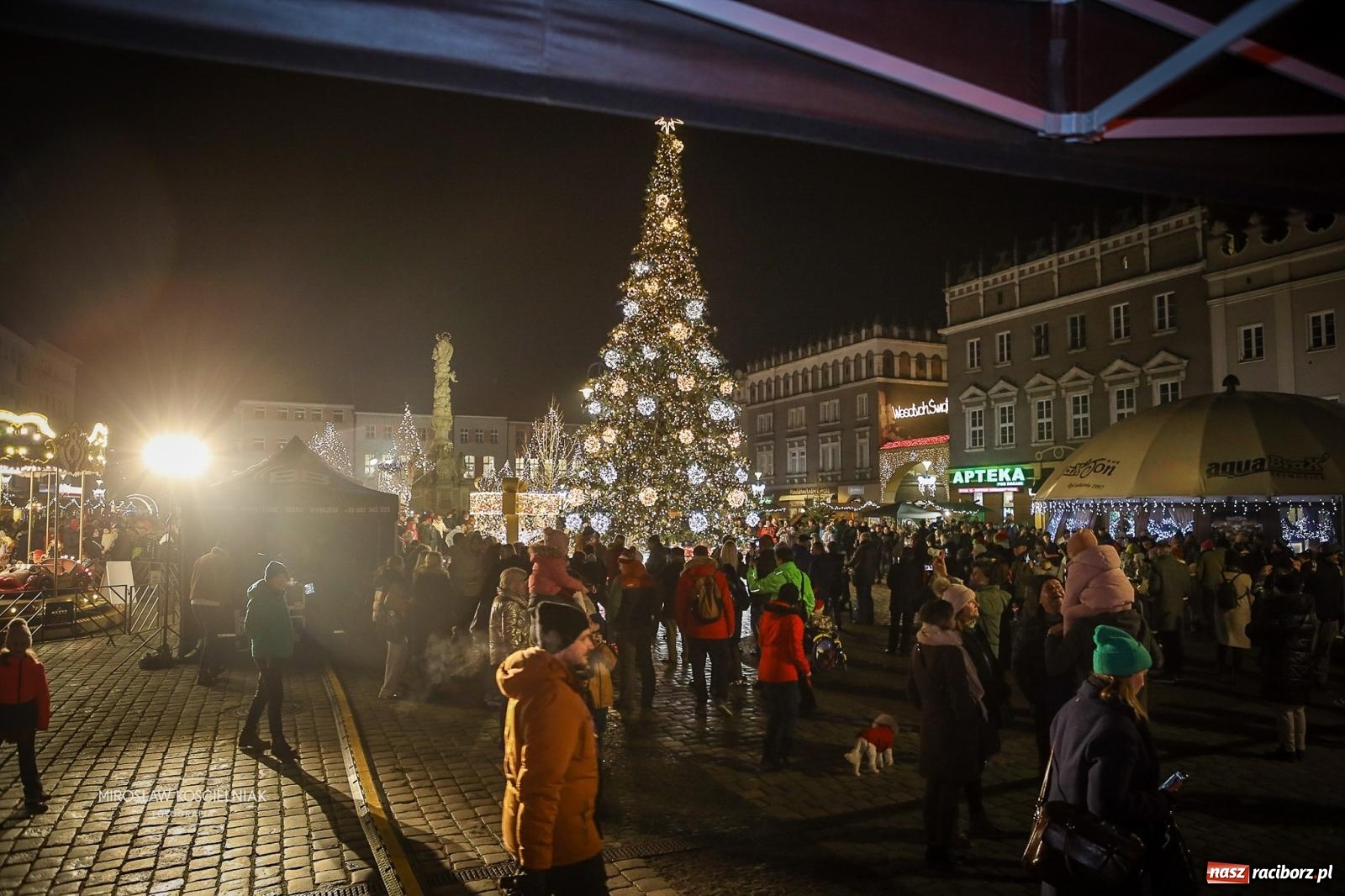 Zdjęcie w galerii na portalu naszraciborz.pl: Nowa odsłona Jarmarku Świątecznego w Raciborzu - choinka rozbłysła wśród platanów [FOTO i WIDEO] wiadomości z regionu
