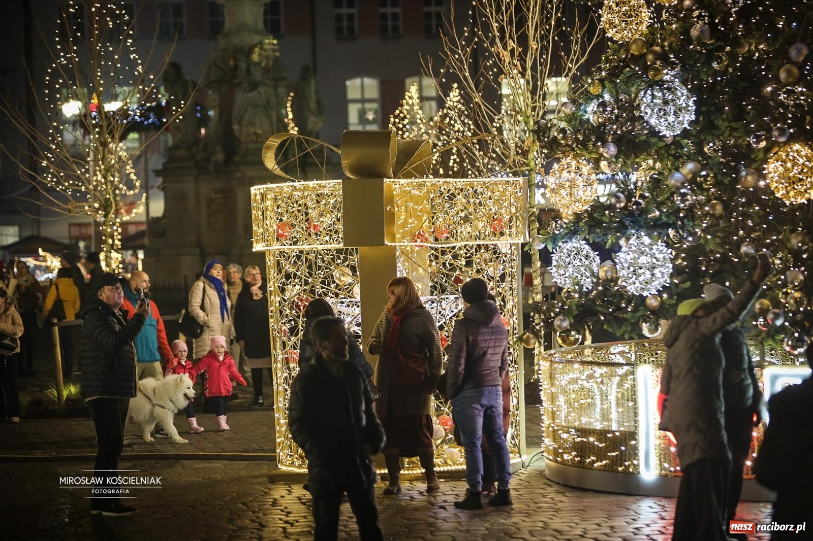 Zdjęcie w galerii na portalu naszraciborz.pl: Nowa odsłona Jarmarku Świątecznego w Raciborzu - choinka rozbłysła wśród platanów [FOTO i WIDEO] wiadomości z regionu