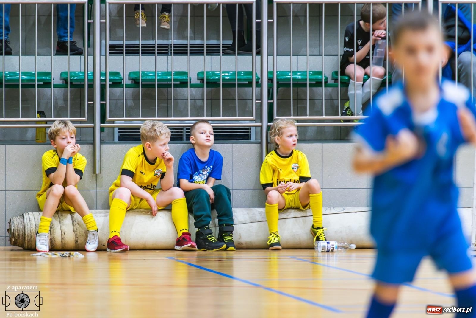 Zdjęcie w galerii na portalu naszraciborz.pl: Mikołajkowe zmagania najmłodszych. Turniej pełen emocji i sportowej radości [FOTO] wiadomości z regionu