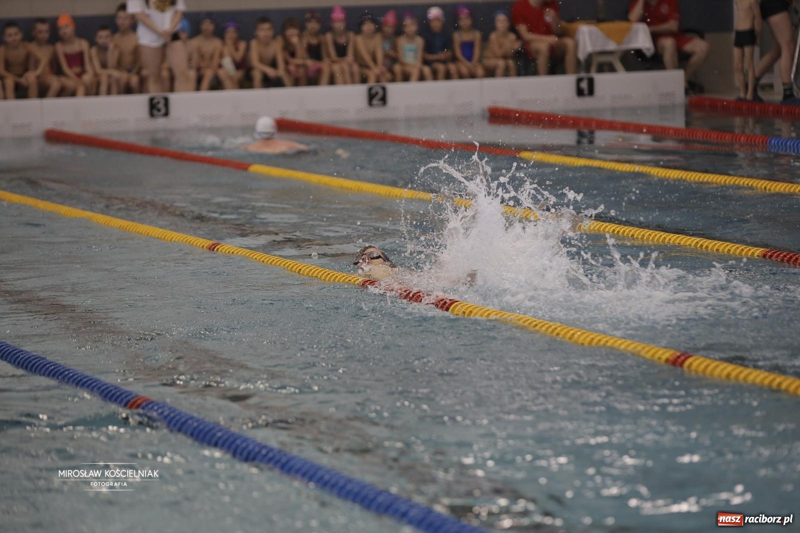 Zdjęcie w galerii na portalu naszraciborz.pl: XII Mikołajkowe Zawody Pływackie i jarmark z ZSOMS [FOTO i WIDEO] wiadomości z regionu