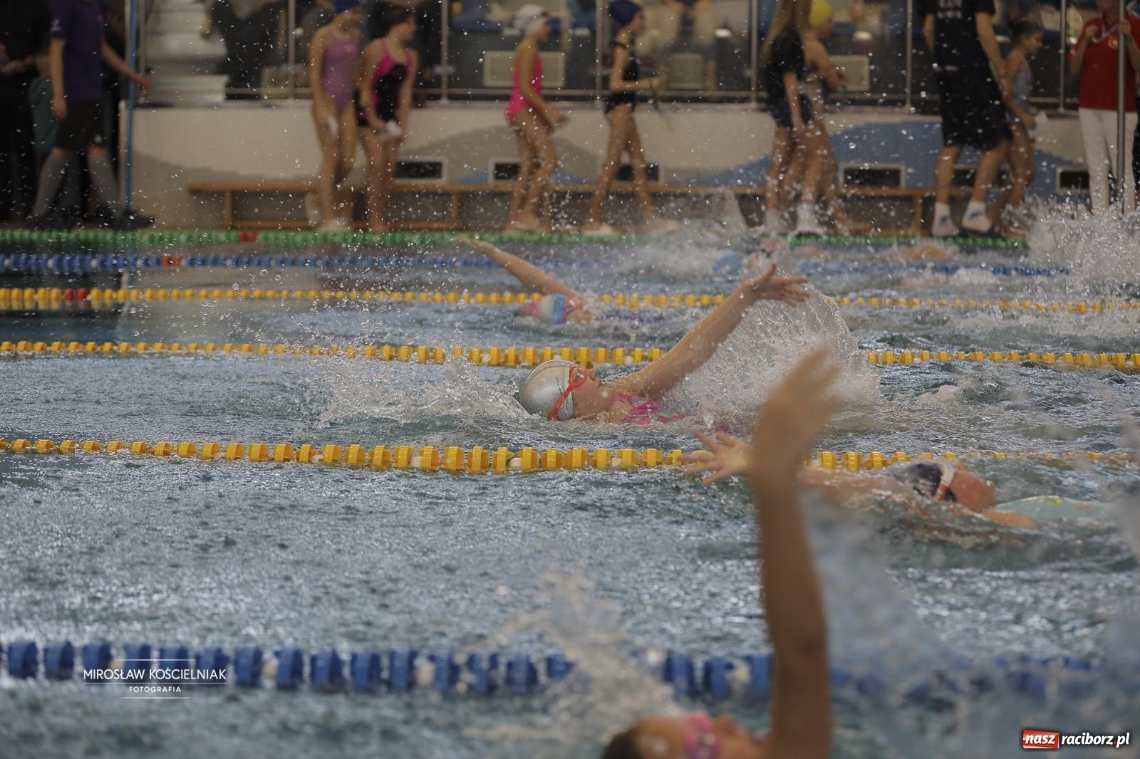 Zdjęcie w galerii na portalu naszraciborz.pl: XII Mikołajkowe Zawody Pływackie i jarmark z ZSOMS [FOTO i WIDEO] wiadomości z regionu