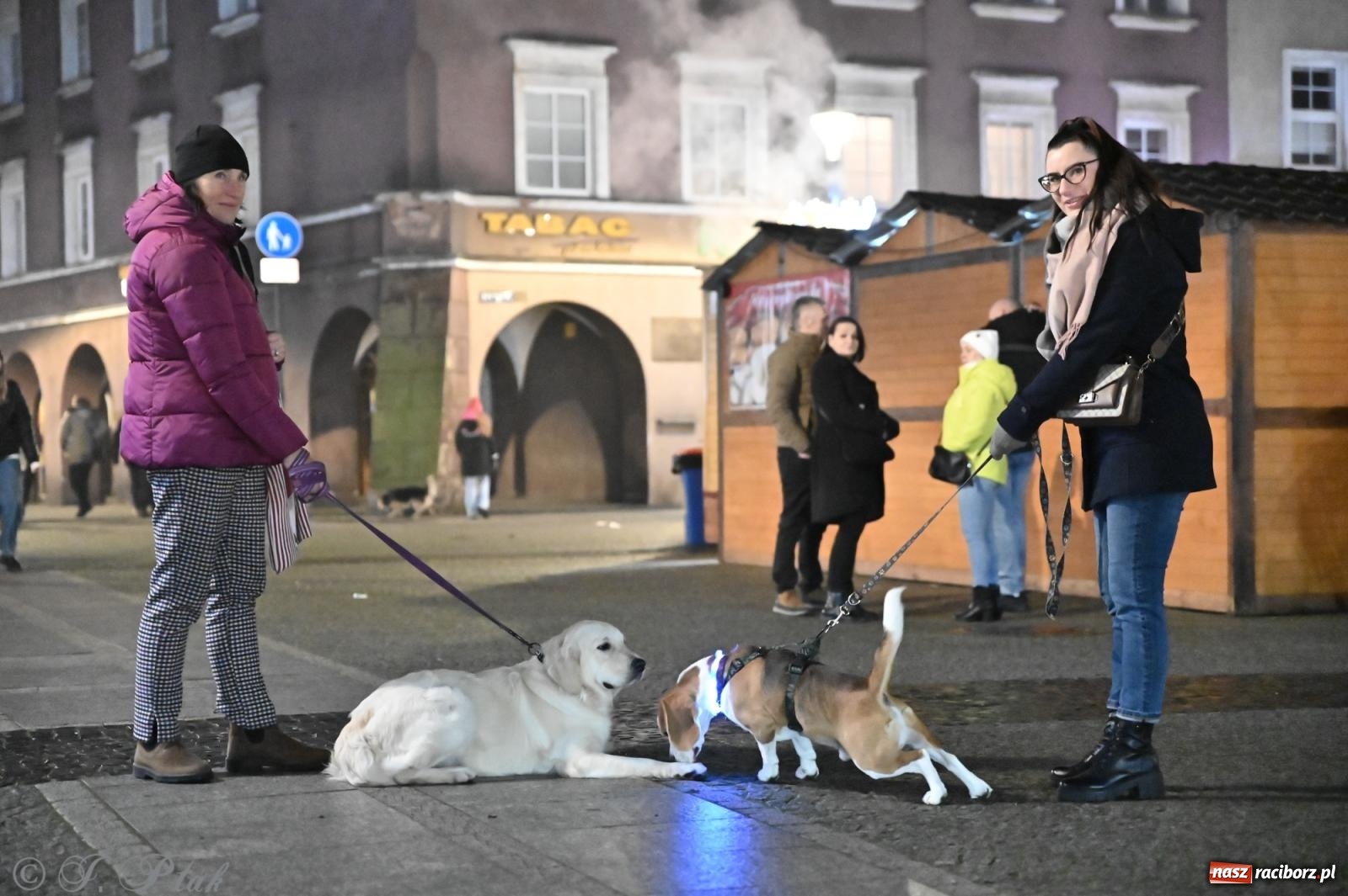 Zdjęcie w galerii na portalu naszraciborz.pl: Wieczór na raciborskim jarmarku: muzyka, świąteczne zakupy i spacer po rynku wiadomości z regionu